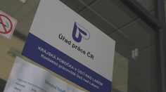 Nejvyšší nezaměstnanost je opět v Ústeckém kraji. Vůbec nejhůř je na tom Děčín