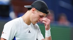 Zmotaný dort psa a kočičky, stávat se to nemůže, říká Berdych ke kauze Menšík