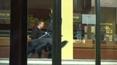 Přepadli recepčního hotelu a vzali si 200 tisíc korun