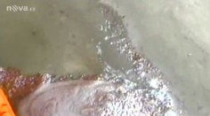 ŽIVĚ: Robot se snaží utěsnit ventil v Mexickém zálivu
