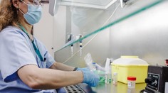 Nejvíce nově nakažených za den. Hygiena eviduje celkem 20 případů opičích neštovic