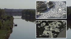 Znečištěná Vltava: Do řeky vytékala v Kralupech bílá látka!