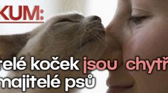 Výzkum: Majitelé koček jsou "chytřejší" než majitelé psů