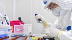 Kde se vzal koronavirus? WHO už zřejmě ví, kdo byl první pacient