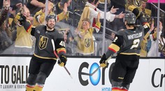 Hertl se zase trefil a je nejlepším střelcem Vegas, Boston nadále tápe