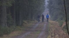 Do některých lesů se nesmí chodit. Může za to orkán Ignác