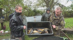 VIDEO: Vypuštěné rybníky a šupináči v sítích! Začaly tradiční výlovy