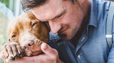 Vědci varují před velkou hrozbou. Na lidi by se mohla rozšířit psí chřipka