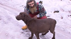 Zachráněnou labradorku odsouzenou k smrti zřejmě někdo týral