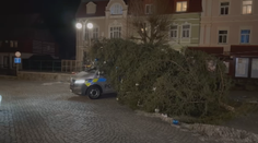 Vítr povalil strom na policejní auto v Chřibské. Byla na něm vánoční výzdoba