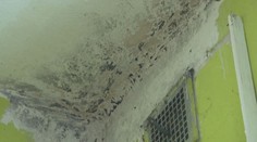 Dana a Mirek žili devět let v plísních. Do lepšího jim pomohl darem soused
