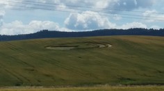 FOTO: Kruh v obilí u Rokycan. Kde se tam vzal?