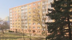 Neplatiči nájmu v Chomutově šikanují okolí. Všem se vysmívají, mají brát dávky