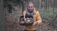 V polovině listopadu na houby? Štáb TV Nova jich našel plný koš