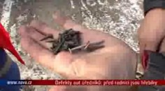 VIDEO: Pomsta úředníkům: propíchlé pneu