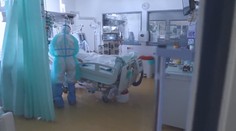 Lékaři varují před ivermektinem, hrozí otrava a vážné zdravotní komplikace