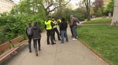 Výsledky pochodu za marihuanu: Přes 100 přestupků, 2 zatčení
