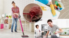 Po letních alergiích přicházejí ty zimní: Tipy, jak zatočit s roztoči