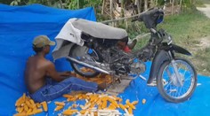 Chcete si usnadnit práci? Kukuřici můžete loupat i s motorkou