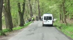 Auto vrazilo do stromu: 1 mrtvý, 6 zraněných