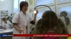 VIDEO: V Ústeckém kraji řádí nebezpečná bakterie