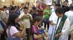 VIDEO: Domácí mazlíčci na svaté mši a pod kapkami svěcené vody