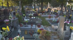 Letošní Dušičky se výrazně prodraží. Panuje nedostatek smutečných květin