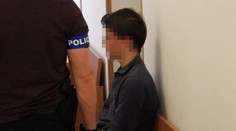 Vražda 18leté dívky u Plzně: Soud rozhodl o vazbě jejího spolužáka