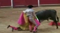 VIDEO: 12letého toreadora vláčel arénou býk