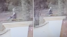 Podezřelý se po útoku psa přihlásil, majitelem není! Dítě je v kritickém stavu