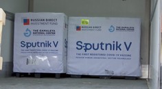 Vakcína Sputnik bude v Česku! Nechali byste se očkovat? ANKETA