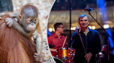 Podpořte zoo!