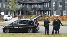 Těhotná Dánka byla ubodaná k smrti. Miminko jako zázrakem přežilo