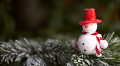 POČASÍ: Čekají nás "tropické" Vánoce. Bude až 11 stupňů nad nulou!