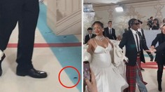 VIDEO: Šváb na večírku Met Gala? Podívejte se, jak zareagovali lidé na místě