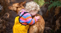 Ztracené batole usnulo v lese se psy. Jednoho mělo jako polštář, druhý hlídal