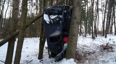 Silničáři chtějí kácet tisíce stromů. Ekologové se bouří