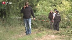 Houbaře zabil pád stromu u Klatov, na místě káceli dřevorubci