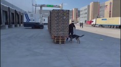 Kokain ze supermarketů míří do skladu policie. Může tam zůstat i několik měsíců