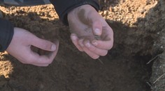 Policie na jihu Čech dopadla kopáče vltavínů. Hrozí mu dva roky