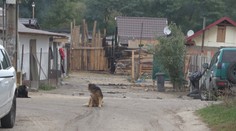 Válka romských klanů! Létající kameny, zápalné lahve i střelba!