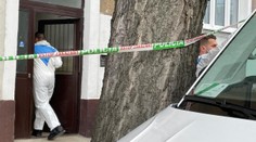 Na Slovensku šetří mimořádně brutální vraždu ženy. Jejího partnera zadrželi