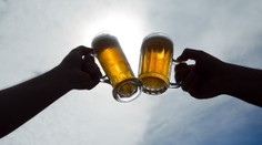 Noční můra pivařů: Úroda chmele je kvůli horku a suchu v ohrožení!