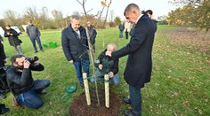Politici sázeli v Průhonicích stromy, mají pomoci s klimatickými změnami