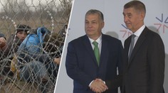 Babiš chce do Maďarska poslat policisty. Hlídali by hranici obehnanou plotem