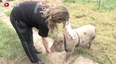 VIDEO: V útulku pro domácí mazlíčky mají i prase a leguána. Psy a kočky neberou