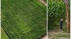 Chlapec (3) zůstal sám v bludišti, matka na to přišla až druhý den