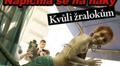 Napíchla se na háky. Kvůli žralokům