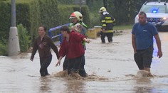 Déšť bičoval Česko, vyplavil i zvěřinec! Na Zlínsku padaly stromy