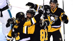 Hertl ozdobil první finále gólem, slaví ale nakonec v Pittsburghu